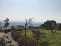 -宁波市保国寺古建筑博物馆