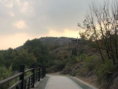 -白马涧龙池景区