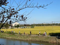 -嘉北郊野公园