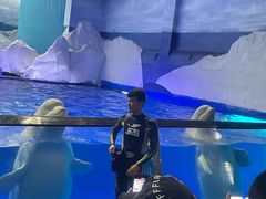 -秦皇岛乐岛海洋王国