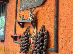 -陶缘一号·四季缘·老字号顺德菜·户外婚礼家宴(西滘店)