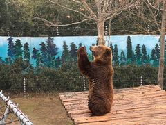 -济南野生动物世界
