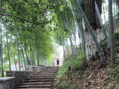 -莫干山风景区