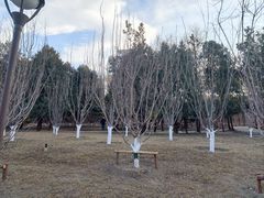 -元大都城垣遗址公园