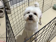 -忠犬公馆(月亮湾店)