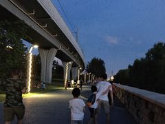 -宝安西湾红树林湿地公园