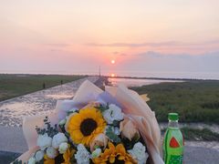 -南汇嘴观海公园