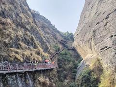 -紫鹊界梯田景区