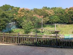 -宁波野生动物园