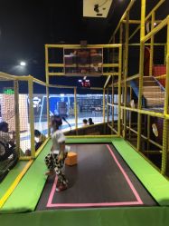 -蹦蹦跳跳(新奥购物中心店)