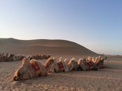 -银肯塔拉沙漠生态旅游景区