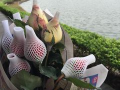 -南国桃园旅游度假区