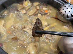 -菌之家·专业纯野生菌火锅·特色炒菌