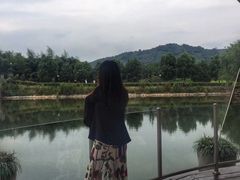 -帐篷客·溪龙茶谷度假酒店