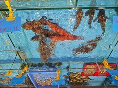 -天天海鲜城·海鲜大排档(新溪店)