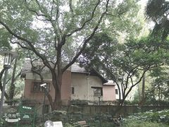 -华山儿童公园