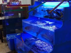 水产区-韩妹鱼庄·泸定老字号(泸定店)