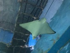 -常州海昌海洋探索馆