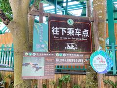 -西双版纳原始森林公园