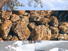 -青峰峡国家森林公园