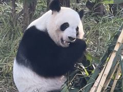 -南宁市动物园