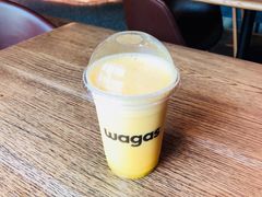 -Wagas沃歌斯(大学路店)