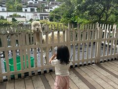 -舟山朱家尖绿城威斯汀度假酒店
