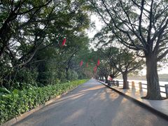 -大湾区中央湿地公园