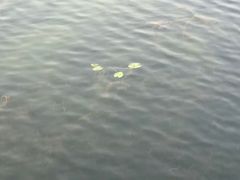 -苏州太湖国际会议中心