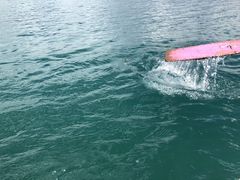 -泸沽湖里格半岛