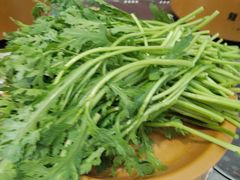 -龍歌自助小火锅(市南金茂湾店)