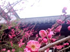 -航空小镇温泉