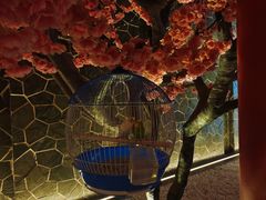 -蓝鲸湾汤泉(包河店)