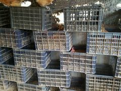 -武汉开心果园农业发展有限公司