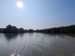 -大湾区中央湿地公园
