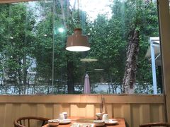 靠窗位-拾里椰乡·海南椰子鸡(珠影星光城店)