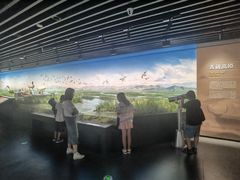 -四川大学博物馆