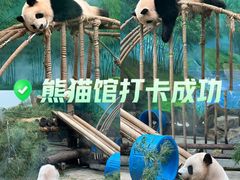 -杭州动物园