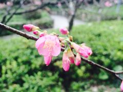 -乌山风景区