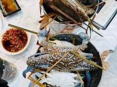 -半岛听涛蒸汽海鲜自助(K11店)