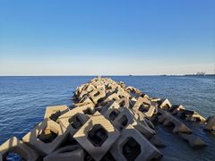 -东疆建设开发纪念公园