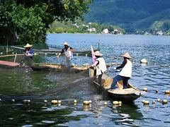 -新安江山水画廊风景区