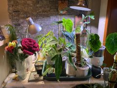 -About Bistro關於·泰式家庭料理