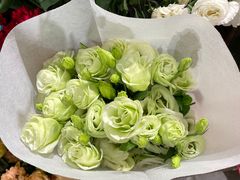 -洪姐川菜东北菜铁锅炖(天生丽街店)