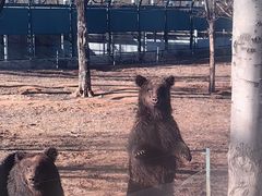 -秦皇岛野生动物园