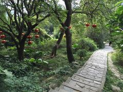 -清源山风景区