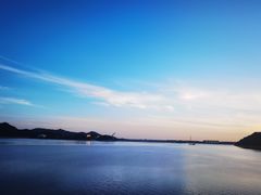 -望湖烤鱼
