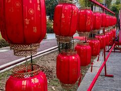 -武汉园博园(武汉自然博物馆)