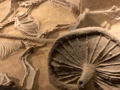 -洛阳周王城天子驾六博物馆