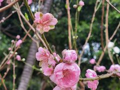 -桃花涧